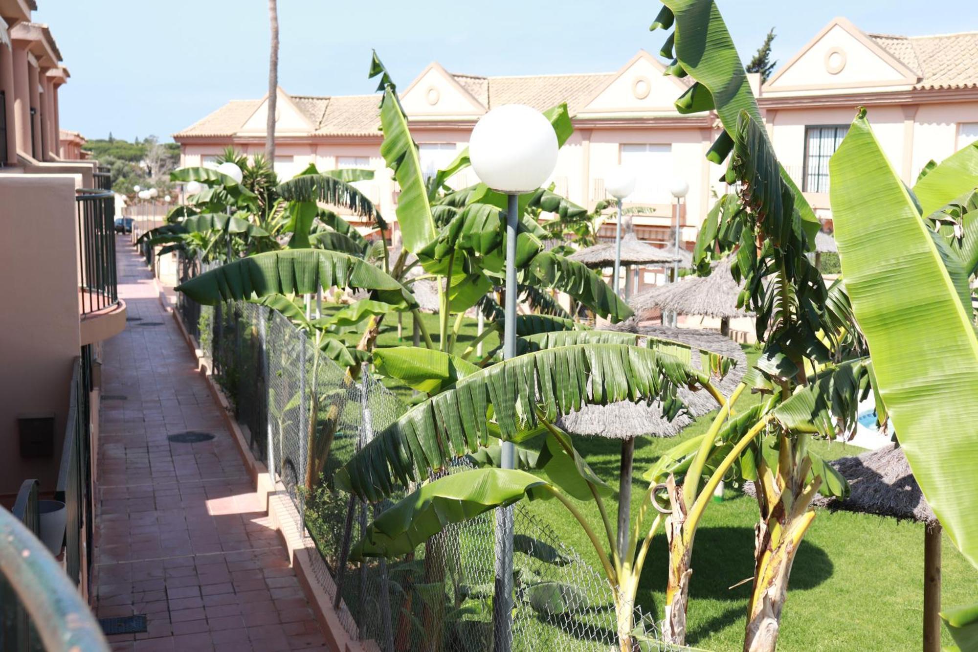 Playa La Barrosa, Alojamientoslola Chiclana de la Frontera Ngoại thất bức ảnh